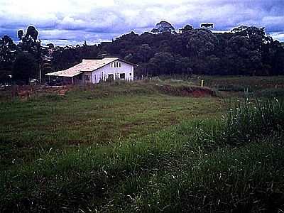 CHCARA-JARDIM EUCALPTOS-FOTO:DI BARBOSA  - FAZENDA RIO GRANDE - PR