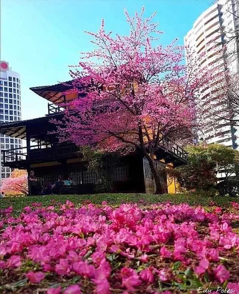 IMAGENS DO BAIRRO FAZENDINHA, MUNICPIO DE CURITIBA/PR - FAZENDINHA - PR