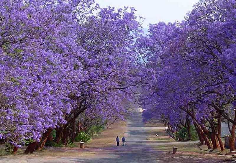 IMAGENS DA CIDADE DE FNIX - PR - FNIX - PR