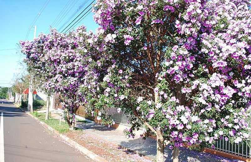 IMAGENS DA CIDADE DE FNIX - PR - FNIX - PR