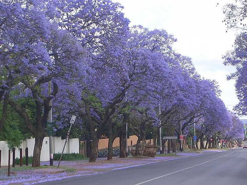 IMAGENS DA CIDADE DE FNIX - PR - FNIX - PR