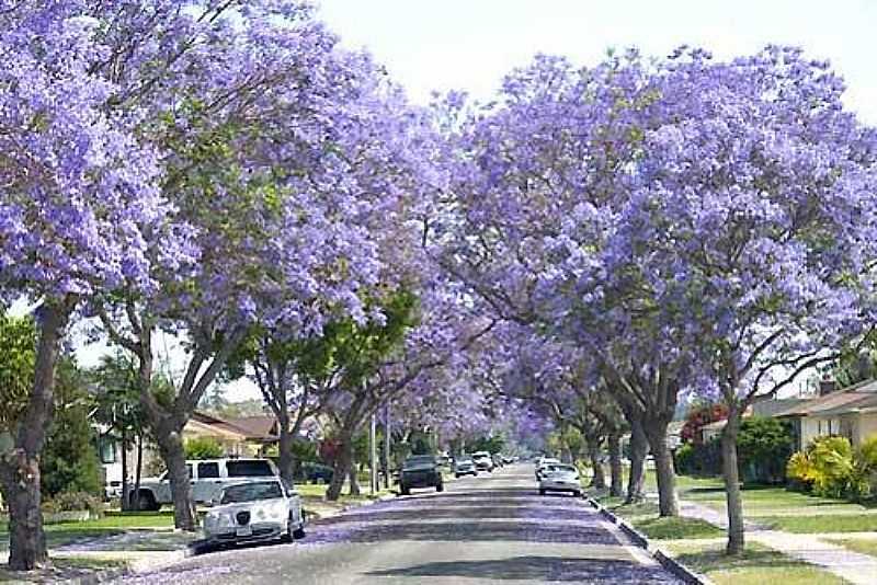 IMAGENS DA CIDADE DE FNIX - PR - FNIX - PR