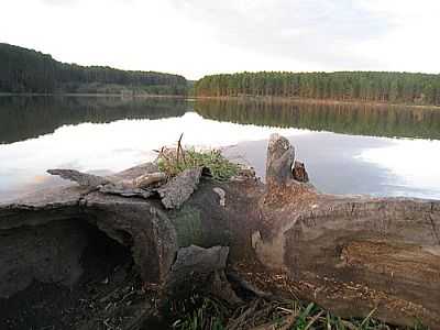 LAGO FAZENDA VIR-FOTO:RAFAEL OBRZUT - FERNANDES PINHEIRO - PR