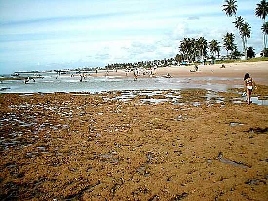 GUARAJUBA FOTO POR GUSTAVO D'ANGIOLELLA (PANORAMIO) - GUARAJUBA - BA