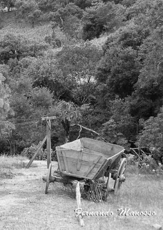 CARROA EM FLOR DA SERRA DO SUL-FOTO:FMANOSSO - FLOR DA SERRA DO SUL - PR