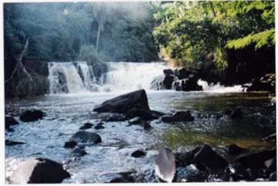 CACHOEIRA ESTRADA PARANHOS, POR WALTER BENTO - FLORA - PR