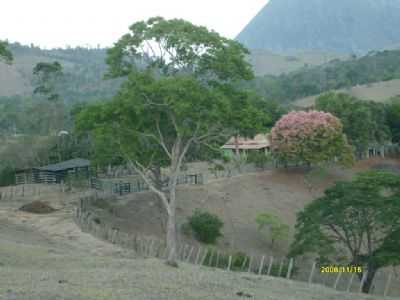 CAMINHO PARA A FAZENDA., POR EDONIA COSTA. - GUARATINGA - BA