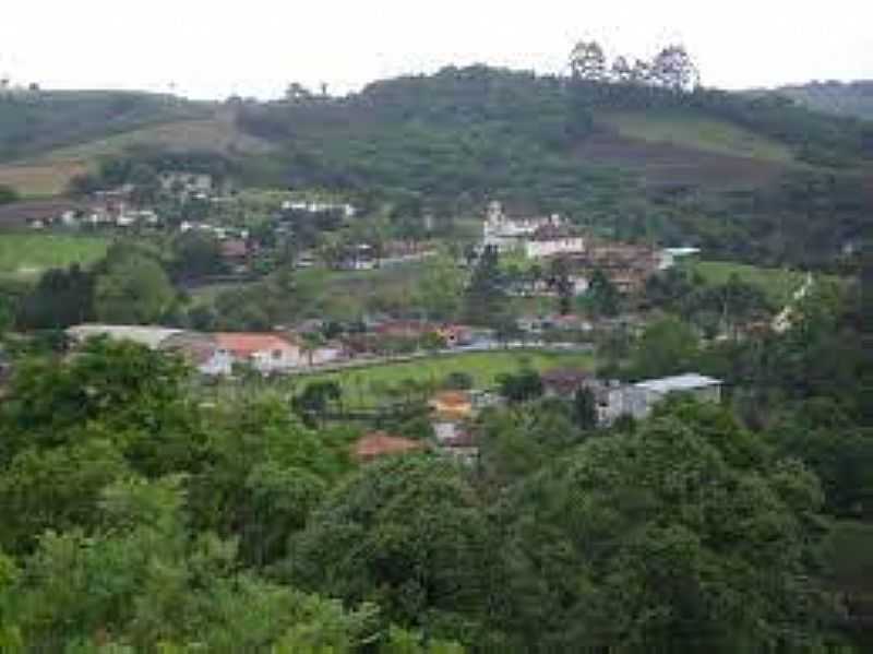 IMAGENS DA COLNIA GONALVES JUNIOR, MUNICPIO DE IRATI/PR - GONALVES JNIOR - PR