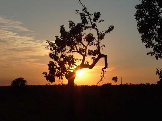 AMANHECER EM GRANDES RIOS, POR SOFIA KAWKA DO PRADO - GRANDES RIOS - PR