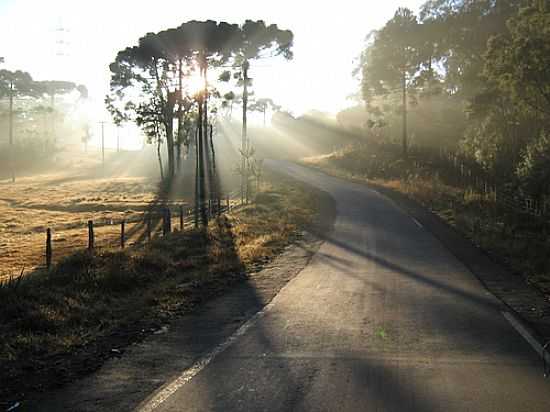 ESTRADA DE GUAIRAA-FOTO:MOACIR P CRUZ DE GU - GUAIRA - PR