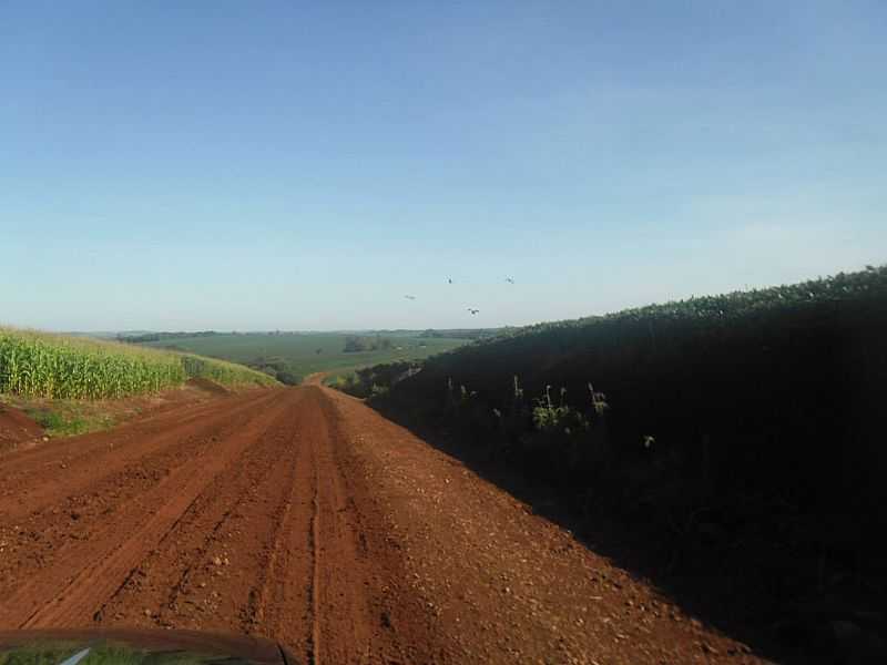 IMAGENS DO DISTRITO DE GUAPOR, MUNICPIO DE GUARANIAU/PR - GUAPOR - PR