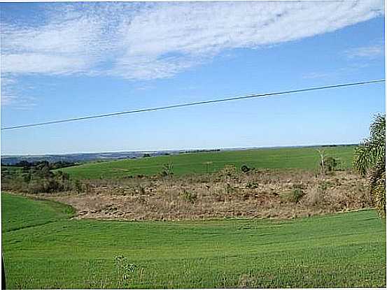 CAMPOS CULTIVVEIS S MARGENS DA PR-170 EM GUARAPUAVINHA-FOTO:ANTONIO ALVES - GUARAPUAVINHA - PR