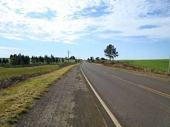 RODOVIA PR-170 EM GUARAPUAVINHA-FOTO:ANTONIO ALVES - GUARAPUAVINHA - PR