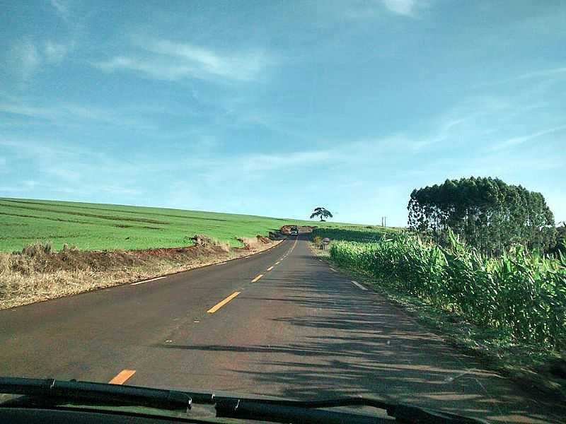 IMAGENS DA LOCALIDADE DE GUARAVERA DISTRITO DE LONDRINA - PR - GUARAVERA - PR