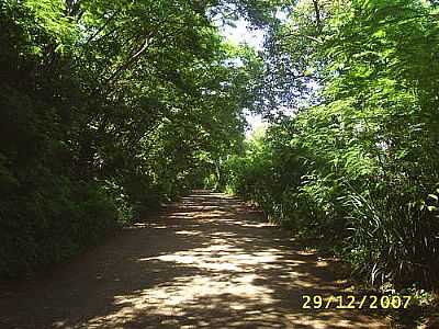 HORTO FLORESTAL  - IBIPOR - PR