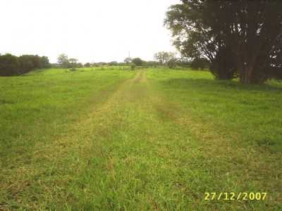 FAZENDA DO ESTADO EM IBIPORA, POR AGTNALDON - IBIPOR - PR