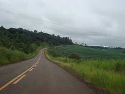 ESTRADA DE IGUATU-FOTO:GASPARIM - IGUATU - PR