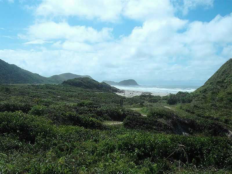 ILHA DO MEL-PR-VISTA DA PRAIA-FOTO:GUSTAVO RAMOS CHAGAS - ILHA DO MEL - PR