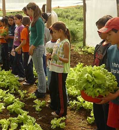 VIVENCIANDO UMA ALIMENTAO SAUDVEL - INCIO MARTINS - PR