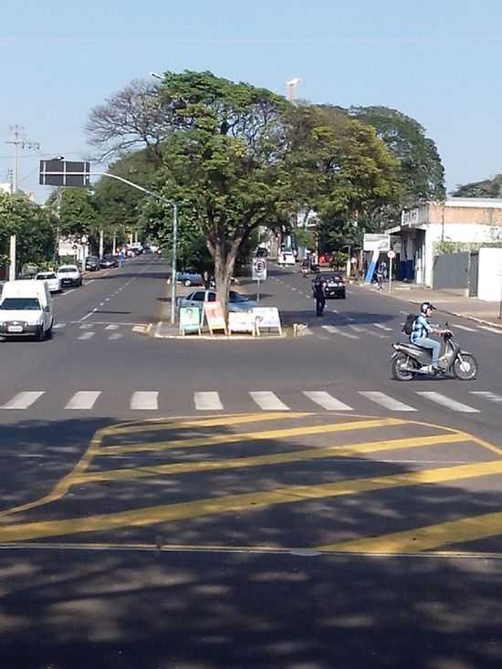 AVENIDA PRESIDENTE CASTELO BRANCO, POR MOACIR NUNES - IPOR - PR