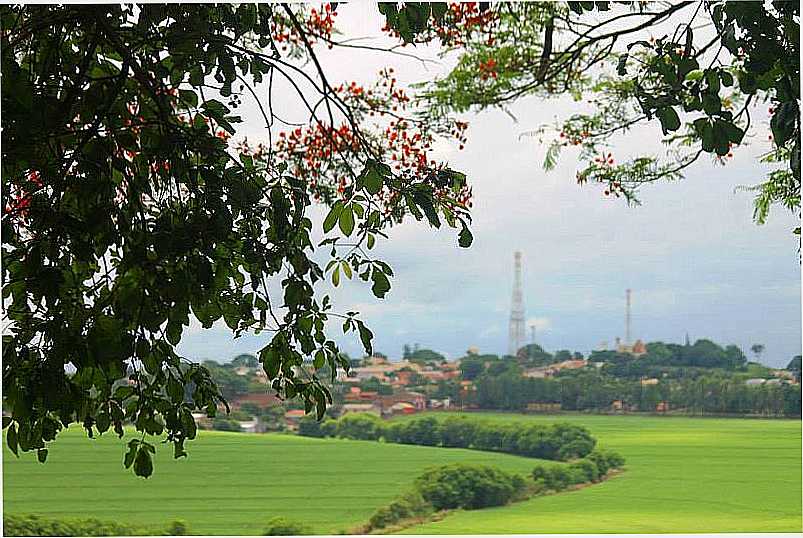 ITAMB-PR-FLAMBOYANT E A CIDADE-FOTO:GAL GOMES - ITAMB - PR