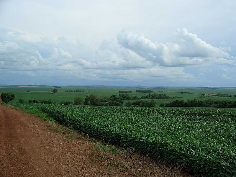 IVATUBA-PR-ZONA RURAL-FOTO:RICARDOKOB - IVATUBA - PR