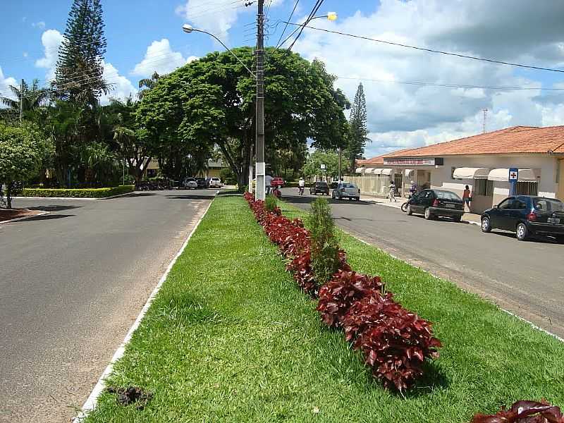 JABOTI-PR-CANTEIRO CENTRAL DA AVENIDA-FOTO:GUILHERME A. - JABOTI - PR