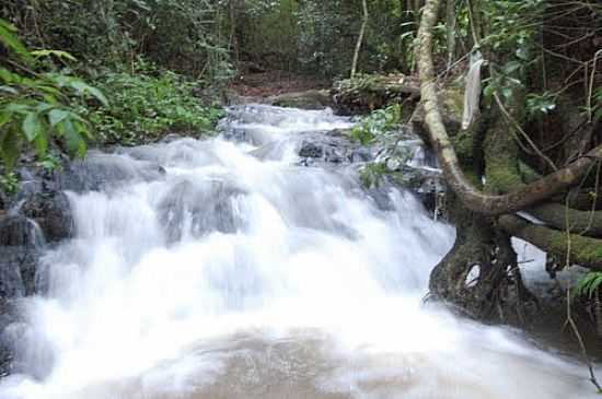 CACHOEIRA EM JUSSARA-FOTO:ANDREKIMURA - JUSSARA - PR