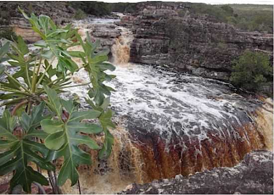 CACHOEIRA DAS ORQUDEAS EM IBICOARA-FOTO:JOO ALVES DA SILVA - IBICOARA - BA