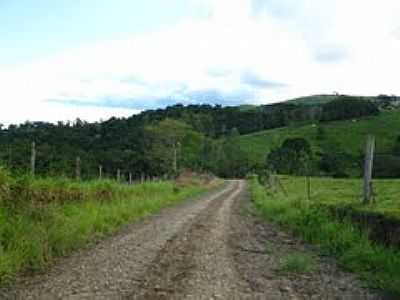 ESTRADA EM LAMBARI-FOTO:LOIVINHO A.M.FRANA  - LAMBARI - PR