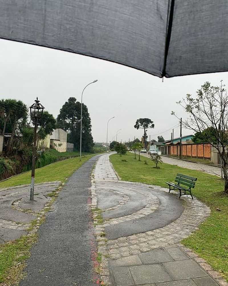 IMAGENS DA CIDADE DE LAPA - PR - LAPA - PR