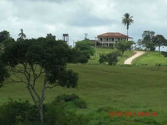 FAZENDA TABAJARA-FOTO:VALTEMIPRADO - IBICU - BA