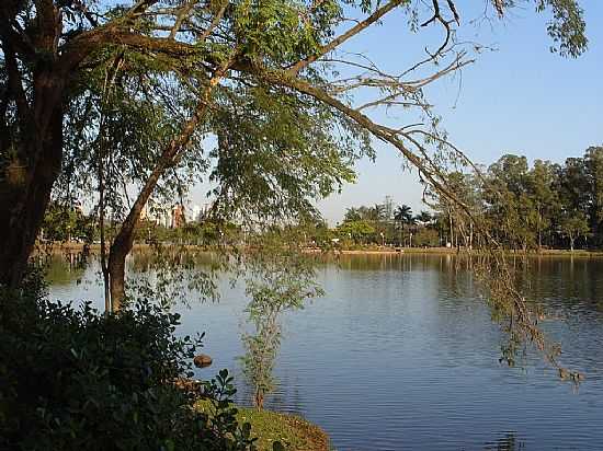 LONDRINA-PR-RVORES NA ORLA DO LAGO IGAP-FOTO:SOFIA PRADO - LONDRINA - PR