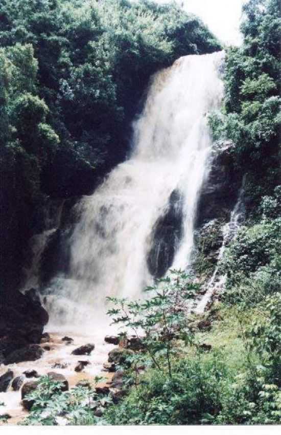 CACHOEIRA SO DOMINGOS, POR CELIO SILVA - LUIZIANA - PR