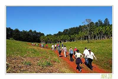 CAMINHADA  - FOTO
POR REINALDO GROLA - LUNARDELLI - PR