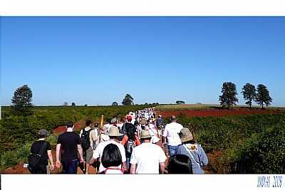 CAMINHADA - FOTO 
POR REINALDO GROLA - LUNARDELLI - PR