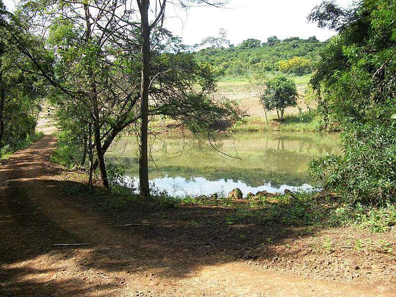 IMAGENS DA CIDADE DE LUNARDELLI - PR - LUNARDELLI - PR