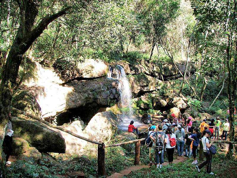 IMAGENS DA CIDADE DE LUNARDELLI - PR - LUNARDELLI - PR