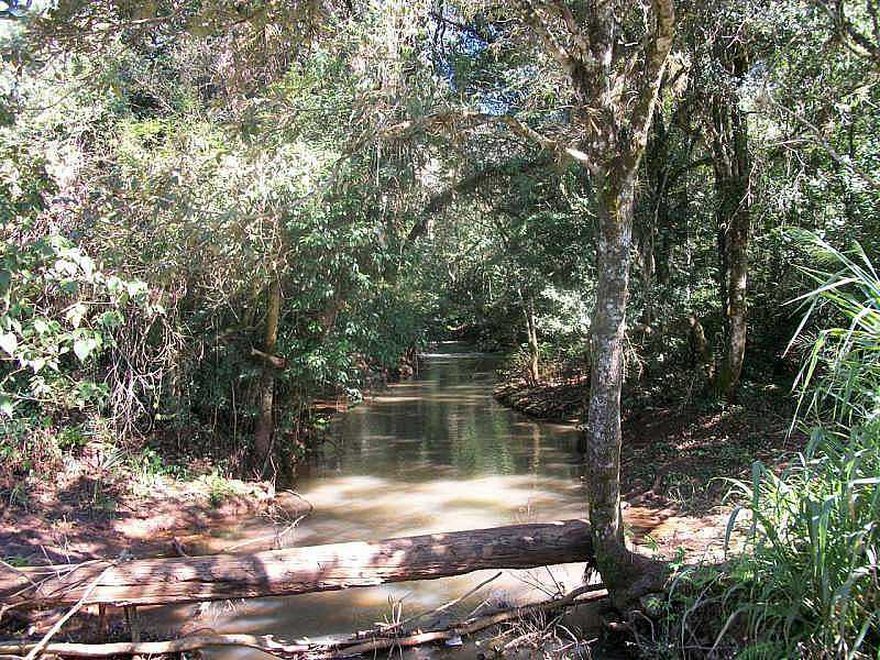 IMAGENS DA CIDADE DE LUNARDELLI - PR - LUNARDELLI - PR