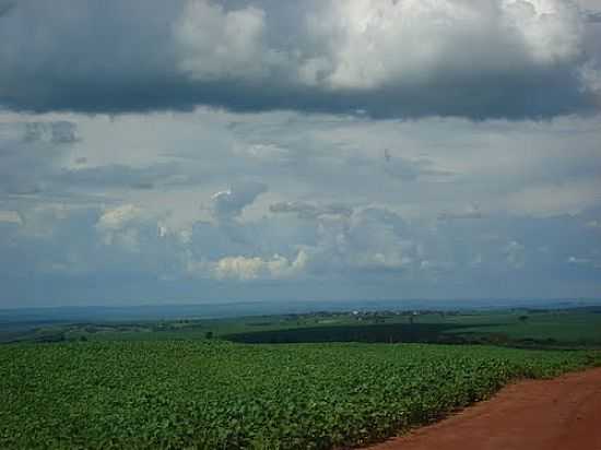 CAMPOS DE SOJA COM O DISTRITO DE MALU AO FUNDO-FOTO:JOO CARLOS BENETTON - MALU - PR