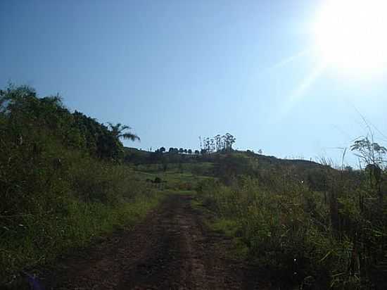 PAISAGEM RURAL DE MALU-FOTO:JOO CARLOS BENETTON - MALU - PR