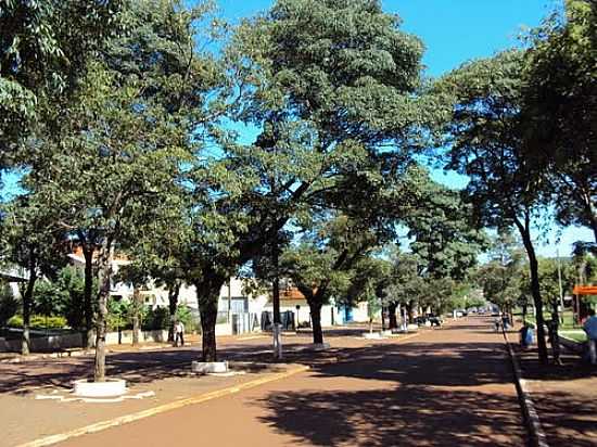 AVENIDA EM MAMBOR-FOTO:RENAN VELLINI - MAMBOR - PR