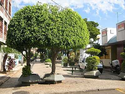 CALADO-FOTO:LUIZVOLPATO  - MANDAGUAU - PR