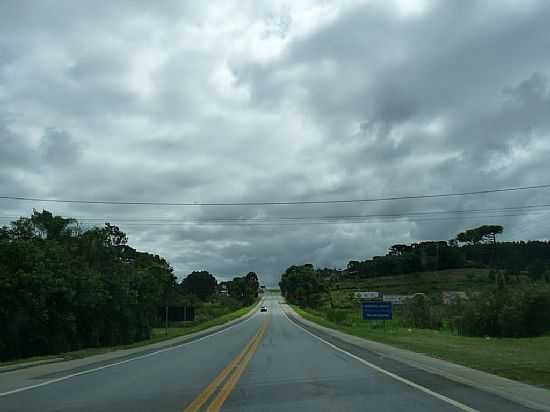 MANDIRITUBA-PR-RODOVIA BR-116-FOTO:CICERO R MACIEL - MANDIRITUBA - PR