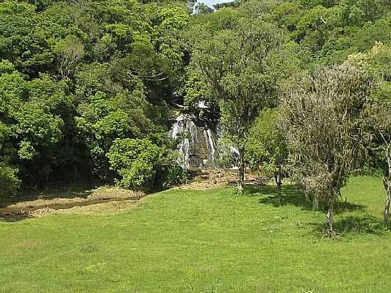 MANDIRITUBA-SC-CACHOEIRA ENTRE A VEGETAO-FOTO:MAURO EDSON SWAROFSKY  - MANDIRITUBA - PR