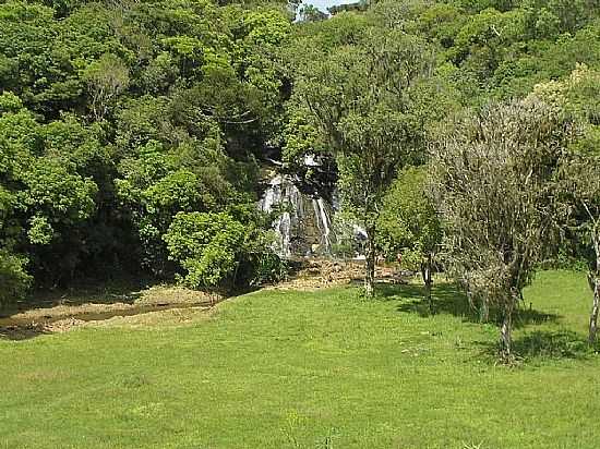 MANDIRITUBA-SC-CACHOEIRA ENTRE A VEGETAO-FOTO:MAURO EDSON SWAROFSKY  - MANDIRITUBA - PR