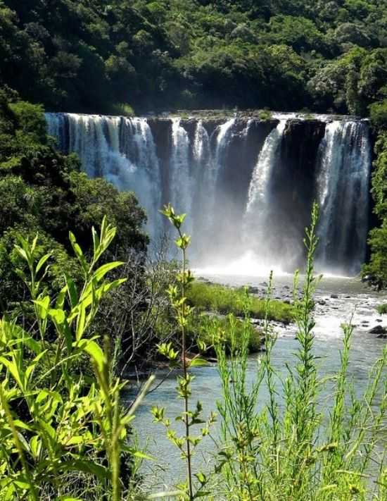 CACHOEIRA DO RIO MARRECAS, POR FERNANDO TELES - MANGUEIRINHA - PR