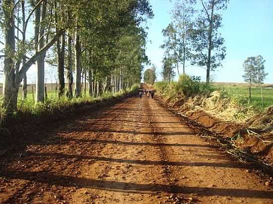 ESTRADA RURAL EM MARAVILHA-FOTO:PROG. ECOMETRPOLE - MARAVILHA - PR