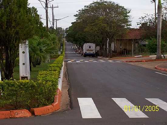 MARIA HELENA-PR-AVENIDA PARAN-FOTO:NELSON.VICENTE - MARIA HELENA - PR