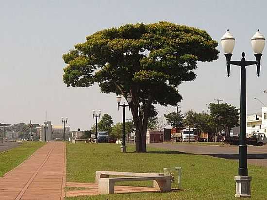 RODOVIA DO CAF EM MARIALVA-FOTO:CARLOS SICA - MARIALVA - PR